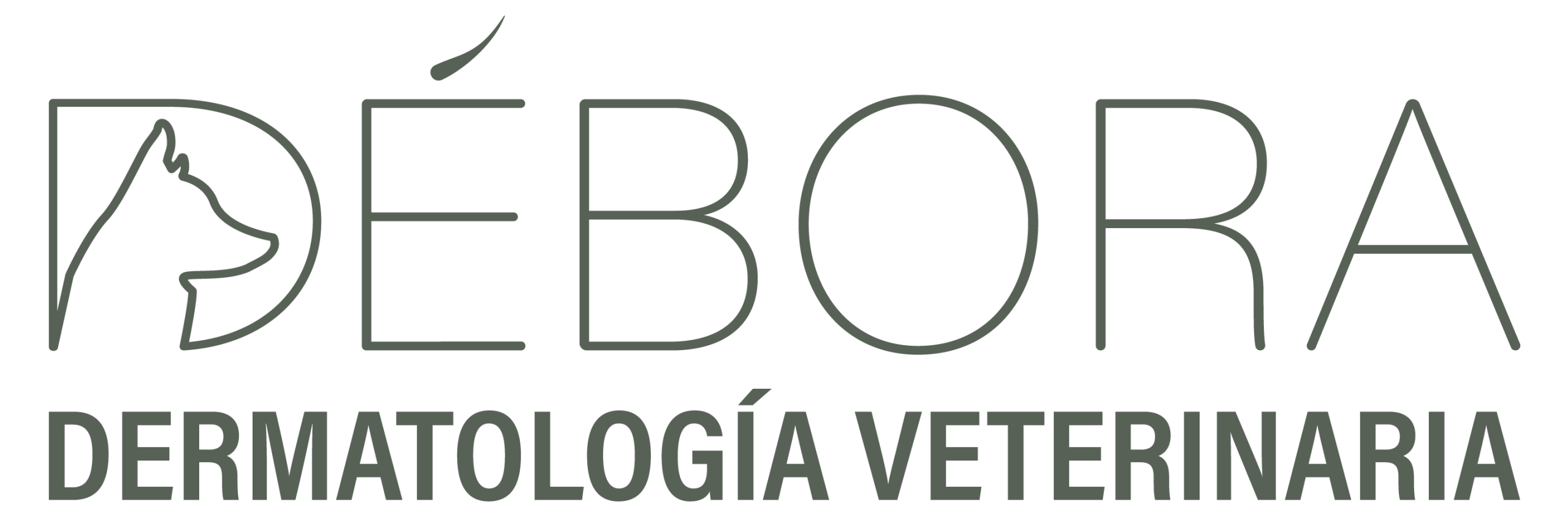 DÉBORA | Dermatología veterinaria en Alicante